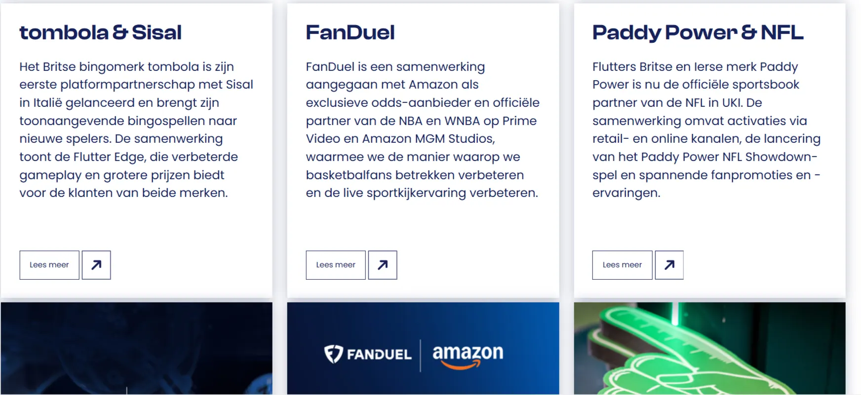 Actuele Flutter-presentatie van het tombola bingo-merk buiten de Nederlandse vergunningcontext